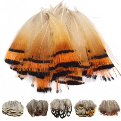 20pcs Assorted Beautiful Natural Pheasant Feathers Cloth Crafts Trimmings Decor